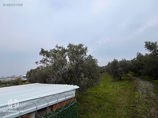 BÖLGE UZMANI HAS EMLAK DENİZ MANZARALI FIRSAT HOBİ BAHÇESİ - BURSA MUDANYA fotoğraf 47