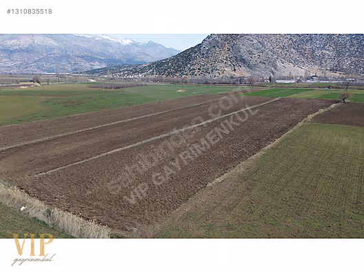 VİP GAYRİMENKUL'den BÖLGENİN EN SULAK YERİNDE 8.041m² TARLA - ANTALYA ELMALI fotoğraf 5