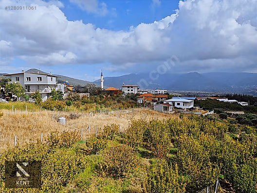 Kemalpaşa Vişneli Satılık 2920 m2 Dubleks Konut Ve Arsa - İZMİR KEMALPAŞA fotoğraf 37