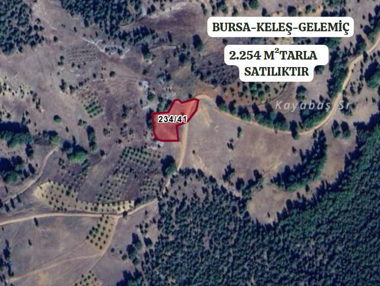 BURSA KELEŞ GELEMİŞ 2.254  M²  TARLA SATILIKTIR. - BURSA KELES fotoğraf 2