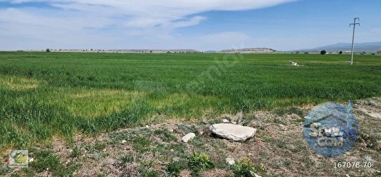 🚨 KÜTAHYA MERKEZ'DE 8.100 M² ÇİFTLİK VE PROJE YAPIMINA UYGUN HARİKA ARAZİ 🚨 - KÜTAHYA MERKEZ fotoğraf 10