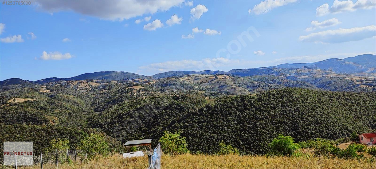ÇAMDİBİ BOZKURT MAH. 1448 M2 %5 İMARLI ARSA. - KOCAELİ KARAMÜRSEL fotoğraf 9