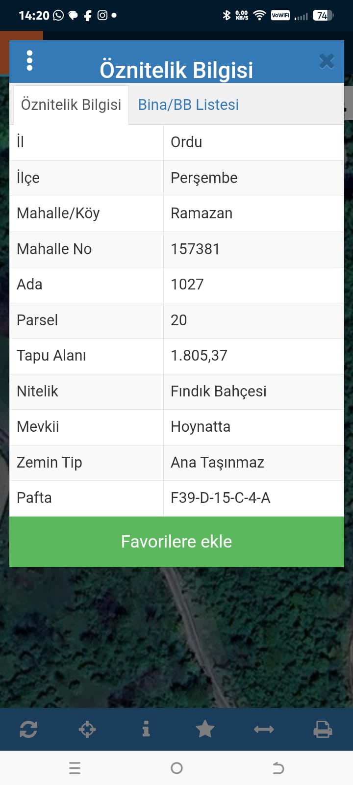 FINDIK BAHÇESİ UYGUN FİYATA - ORDU PERŞEMBE fotoğraf 2