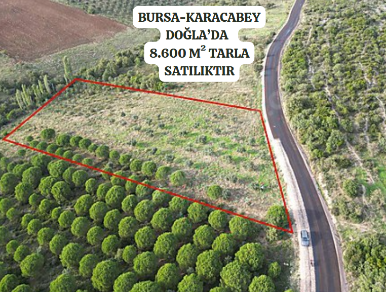 BURSA KARACABEY DOĞLA 'DA 8.600  M²  TARLA  SATILIKTIR. - BURSA KARACABEY fotoğraf 2