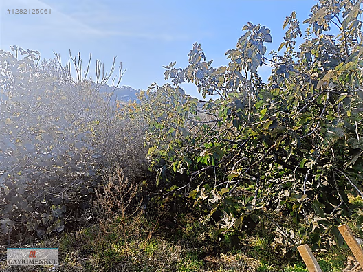 Bursa Mudanya Akköy Köyü'nde Satılık İmarlı Arsa - BURSA MUDANYA fotoğraf 7