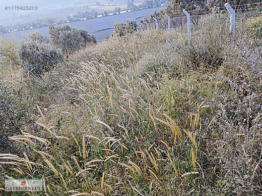 Bursa Karacabey Hayırlar mhde satılık bahçeli köy evi - BURSA KARACABEY fotoğraf 7