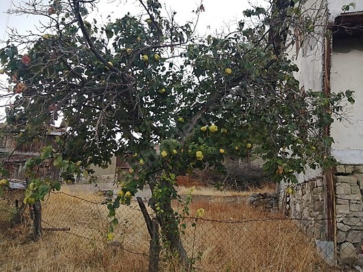Acill kısa süre TAŞKESTİ EMLAKTAN SEBEN'DE İKİ KATLI KÖY EVİ - BOLU SEBEN fotoğraf 21