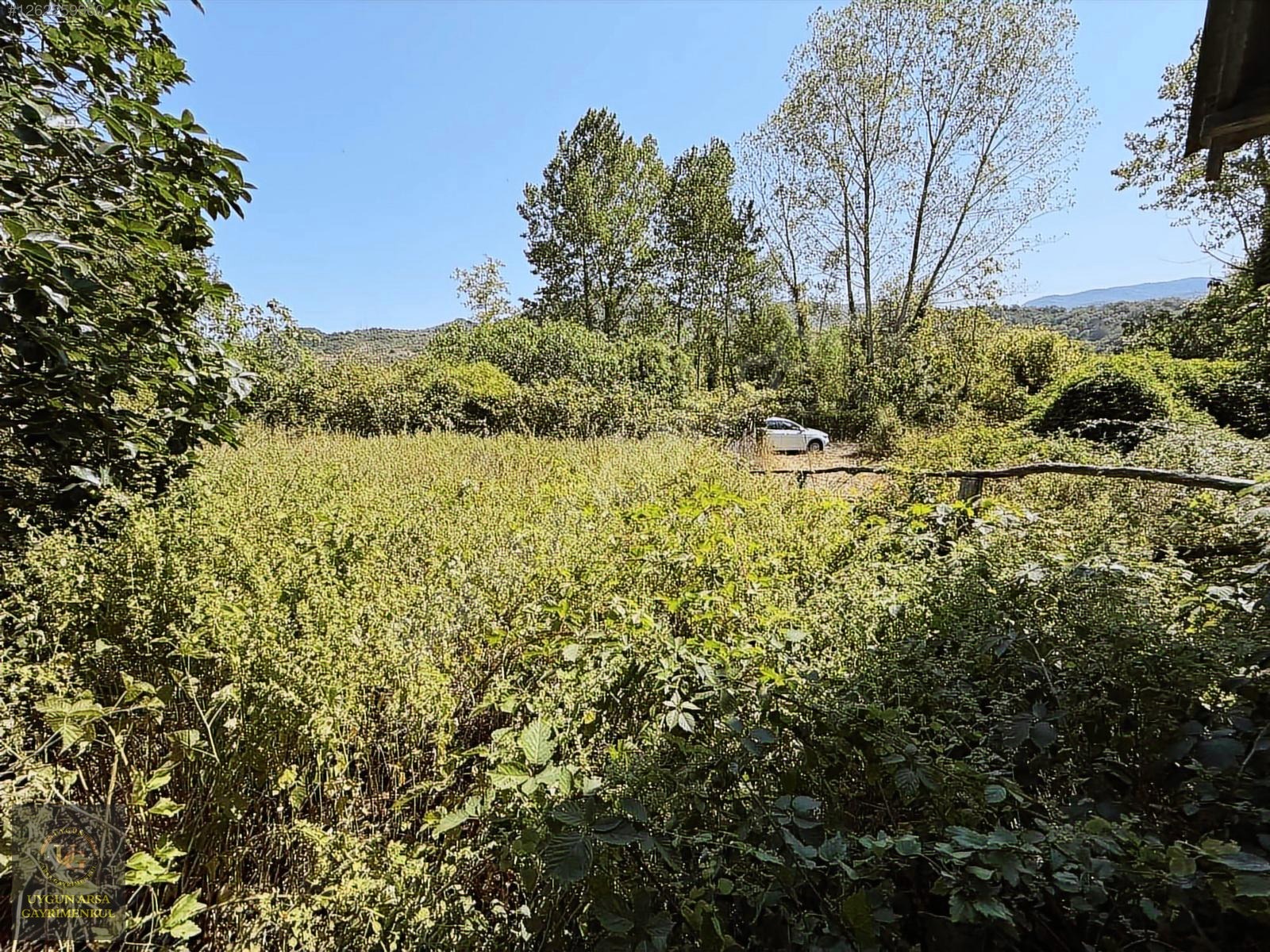 KASTAMONU CİDE ÇAYÜSTÜN'DE DENİZE 1 KM MESAFE'DE İMARLI ARSA - KASTAMONU CİDE fotoğraf 6