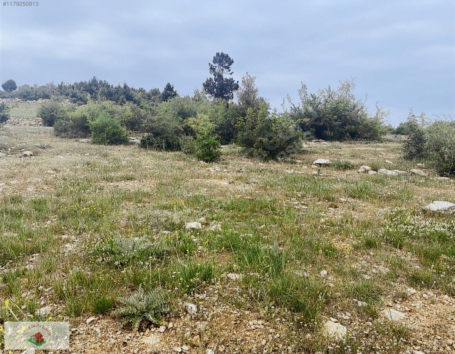 Ev villa yapımına uygun Çamlıyayla Sarıkavak civarında Yaylalık - MERSİN ÇAMLIYAYLA fotoğraf 3