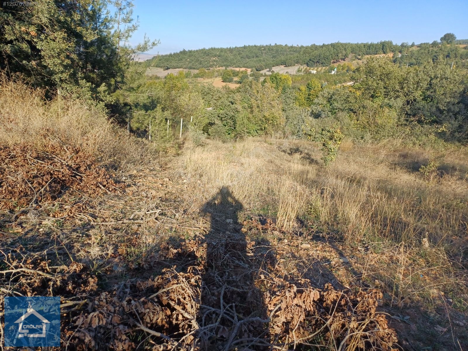 ÇAĞLAR'DAN TOPRAKDERE DE 823m2 MÜSTAKİL TARLA YOL+SU VAR - BURSA YENİŞEHİR fotoğraf 25