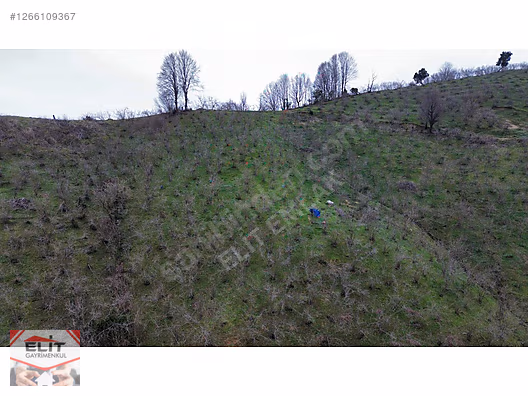 DÜZCE AKÇAKOCA DA EV YAPIMINA UYGUN SATILIK 7.768 M2 FINDIKLIK - DÜZCE AKÇAKOCA fotoğraf 42
