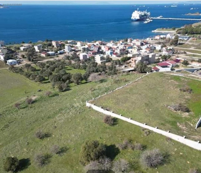 İZMİR ALİAĞA ÇAKMAKLI KÖYÜ’NDE ZEYTİNLİ TARLANIN 117 M²’Sİ SATILIKTIR - İZMİR ALİAĞA fotoğraf 2