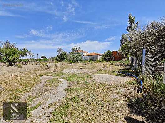 Kemalpaşa Armutlu Satılık 1120 m2 Bahçe - İZMİR KEMALPAŞA fotoğraf 27