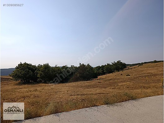 ASFALT KENRARI, DOĞA İÇERİSİNDE,4.200 M2 SATILIK ARAZİ - BİLECİK SÖĞÜT fotoğraf 8