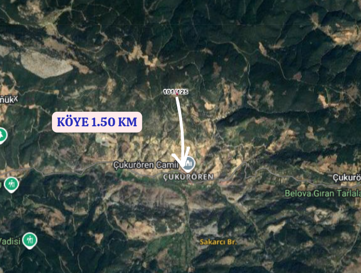 KÜTAHYA GEDİZ ÇUKURÖREN   KÖYÜNDE 3.276  M² TARLA  SATILIKTIR - KÜTAHYA GEDİZ fotoğraf 4
