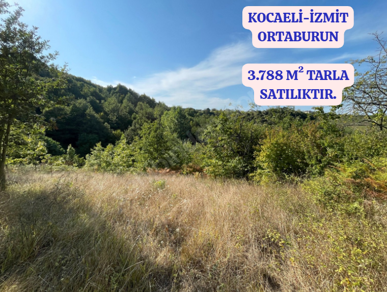 KOCAELİ İZMİT  ORTABURUN   MAHALLESİNDE 3.788 M²  TARLA  SATILIKTIR - KOCAELİ İZMİT fotoğraf 2