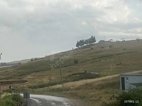 KUZUÇARDAĞI KÖYÜNDE 2245 M2 MÜSTAKİL TAPU %60 İMARLI ARSA - KIRKLARELİ BABAESKİ fotoğraf 2
