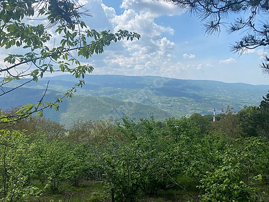 BURSA M.KEMALPAŞA KURŞUNLU  7.300 M² TARLA SATILIKTIR. - BURSA MUSTAFAKEMALPAŞA fotoğraf 8