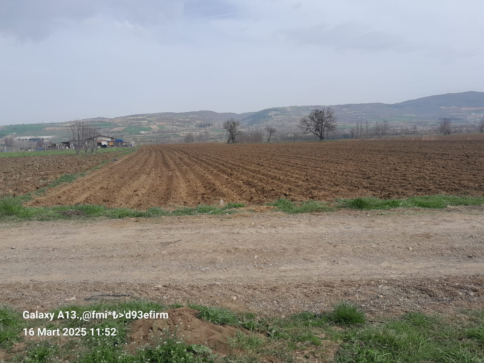 İlan Resmi