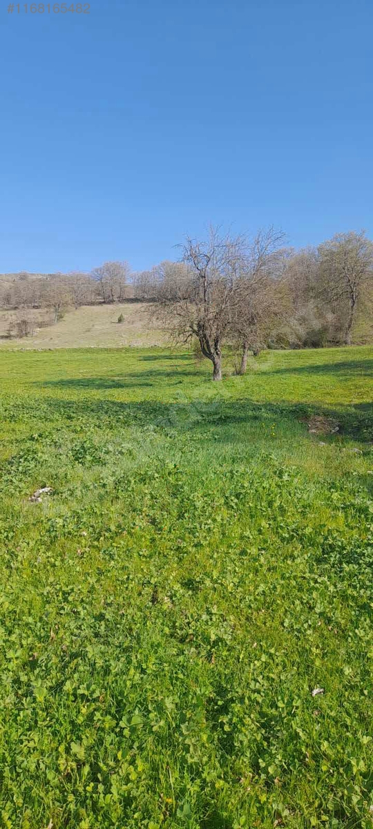 BALIKESİR DURSUNBEY VELİLER  KÖYÜNDE 425 M² BAHÇE SATILIKTIR - BALIKESİR DURSUNBEY fotoğraf 9