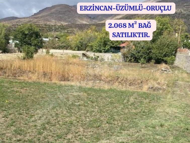 İlan Resmi