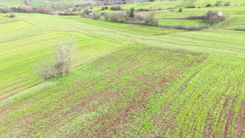 KANDIRA'YA YAKIN BALCI'DA 363 M2 TOPRAK REFORMU İÇİNDE TARLA - KOCAELİ KANDIRA fotoğraf 2