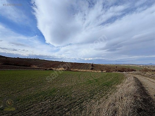 SAMSUN HAVZA KOCAPINAR'DA 4.754 M2 UYGUN ARSA - SAMSUN HAVZA fotoğraf 12