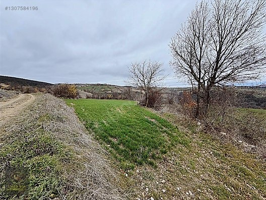 SAMSUN VEZİRKÖPRÜ ÇAMLIDERE'DE 6.670 M2 UYGUN ARSA - SAMSUN VEZİRKÖPRÜ fotoğraf 8