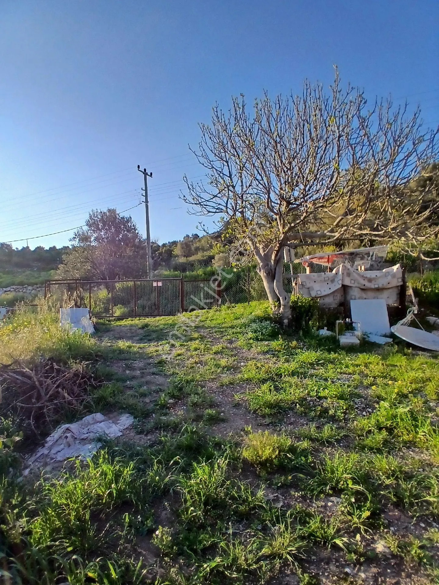 Erentepe Mahallesi Satılık Bahçe - ANTALYA KUMLUCA fotoğraf 13