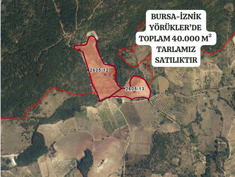 BURSA İZNİK ÖMERLİ MAHALLESİ'NDE  40.000 M² TARLAMIZ SATILIKTIR - BURSA İZNİK fotoğraf 2