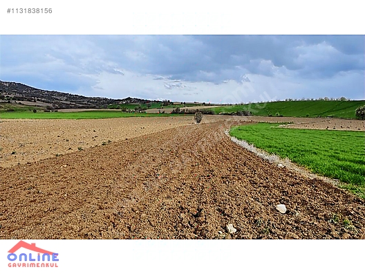 Araç Takaslı - BİLECİK YENİPAZAR fotoğraf 29