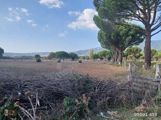BERGAMA KOZAK HACIHAMZALAR MAH DE 10500 M2 TARIM İMARLI TARLA ÖNÜ PARSEL YOL ELE - İZMİR BERGAMA fotoğraf 5