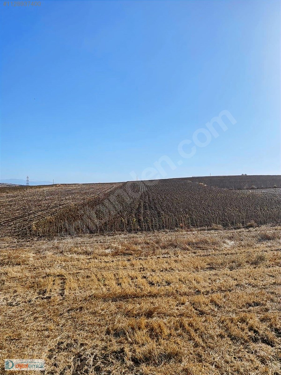 Bandırma Akçapınarda Yatırımlık Satılık 7.700 m2 Arazi. - BALIKESİR BANDIRMA fotoğraf 8