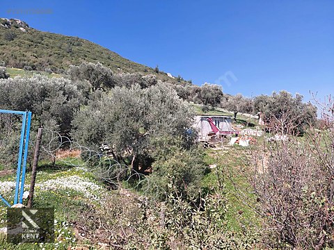 Kemalpaşa Soğukpınar İmar Gelişim Alanında Satılık 2,877m2 Bahçe - İZMİR KEMALPAŞA fotoğraf 31