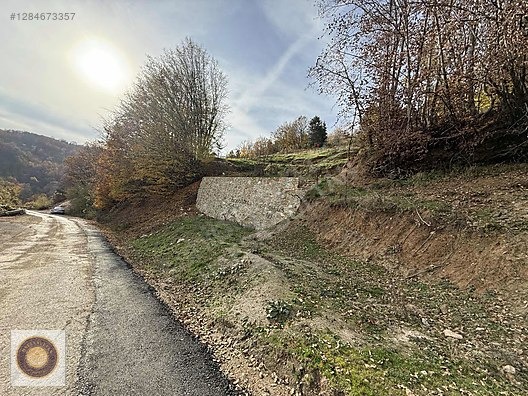 KESTEL LÜTFIYE MH SATILIK 1806M2 TARLA ASVALT YOLA CEPHE - BURSA KESTEL fotoğraf 7