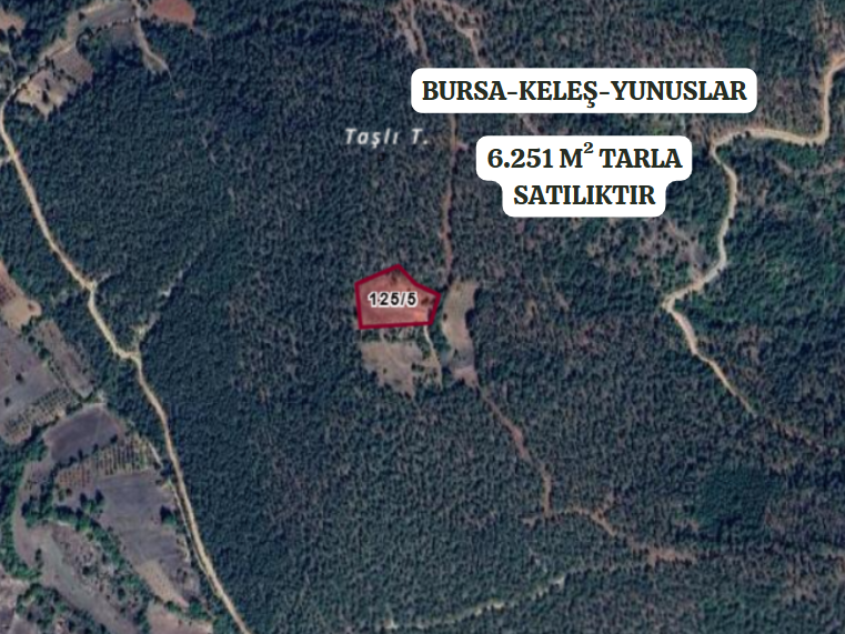 BURSA KELEŞ YUNUSLAR 6.251  M² TARLA SATILIKTIR. - BURSA KELES fotoğraf 2