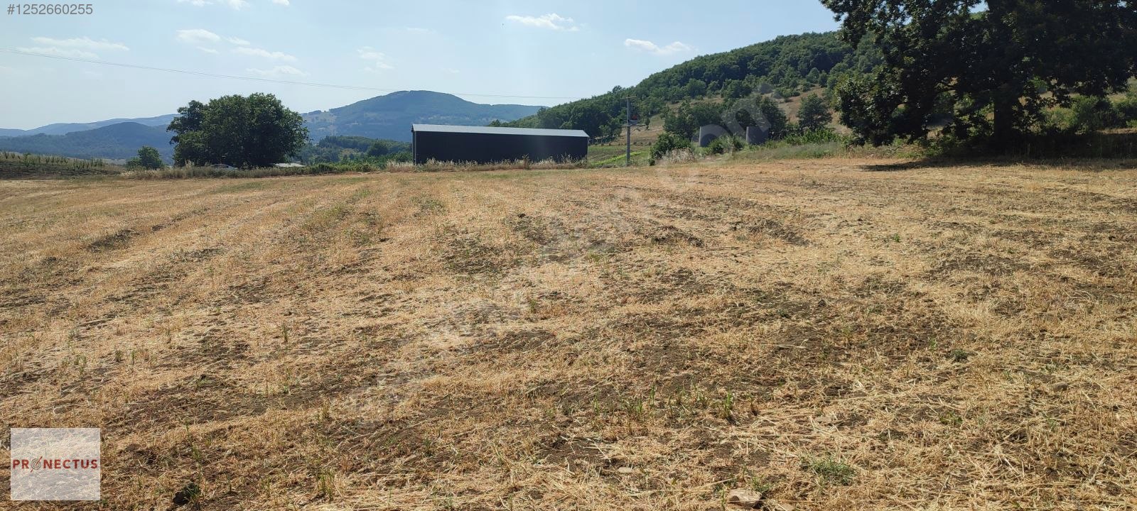 YÖRÜKLER MAHALLESİNDE ASFALT YOLA CEPHE SATILIK 5833 M2 TARLA - BURSA İZNİK fotoğraf 2