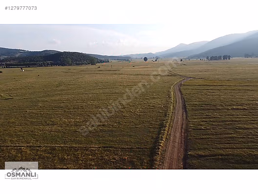 HİSARCIK'TA 4.675 M2 KÖŞE PARSEL YATIRIM FIRSATI - BİLECİK OSMANELİ fotoğraf 8