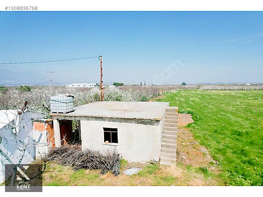 Kemalpaşa Ören 75. Yıl Satılık 8770 m2 Tek Tapu Tarla - İZMİR KEMALPAŞA fotoğraf 6