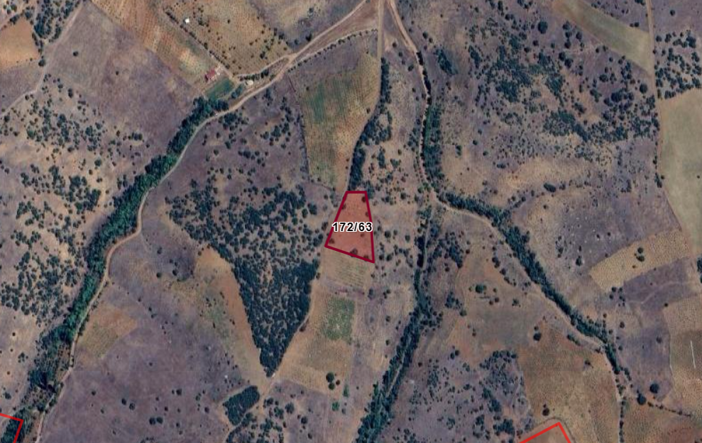 KONYA GÜNEYSINIR KAYAAĞZI  KÖYÜNDE 2.520  M²  BAĞ  SATILIKTIR