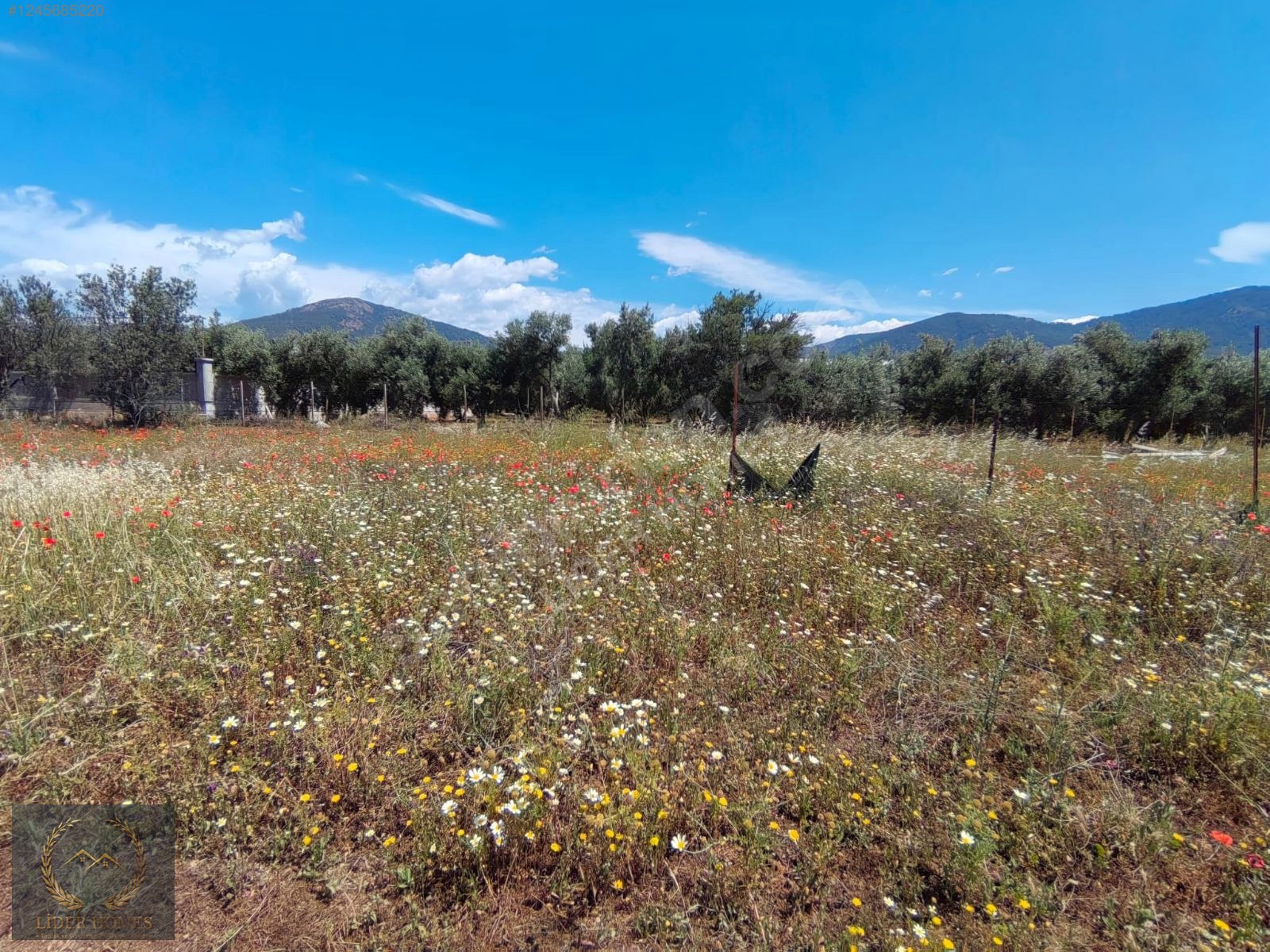 FETHİYE ÇAMKÖY DE %25 İMARLI ARSA 300 M - MUĞLA FETHİYE fotoğraf 10