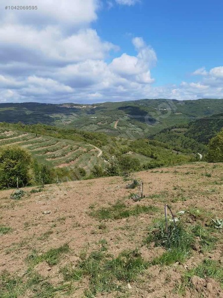 BURSA İZNİK TACİR KÖYÜNDE 13.056 M TARLA SATILIKTIR - BURSA İZNİK fotoğraf 6