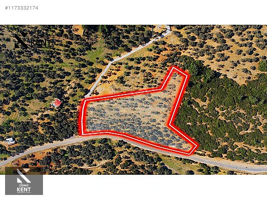 Kemalpaşa Sütçüler Satılık 11.398 m2 Bahçe - İZMİR KEMALPAŞA fotoğraf 11