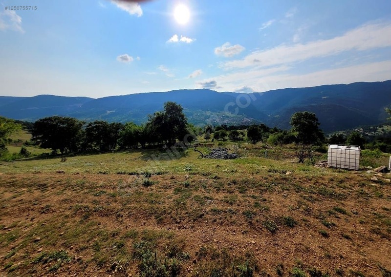 BURSA KELEŞ GELEMİŞ 2.254  M²  TARLA SATILIKTIR. - BURSA KELES fotoğraf 4