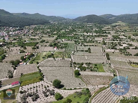 KUŞADASI KİRAZLI da SATILIK ÜZÜM BAĞI ANA YOLA YAKIN - AYDIN KUŞADASI fotoğraf 18