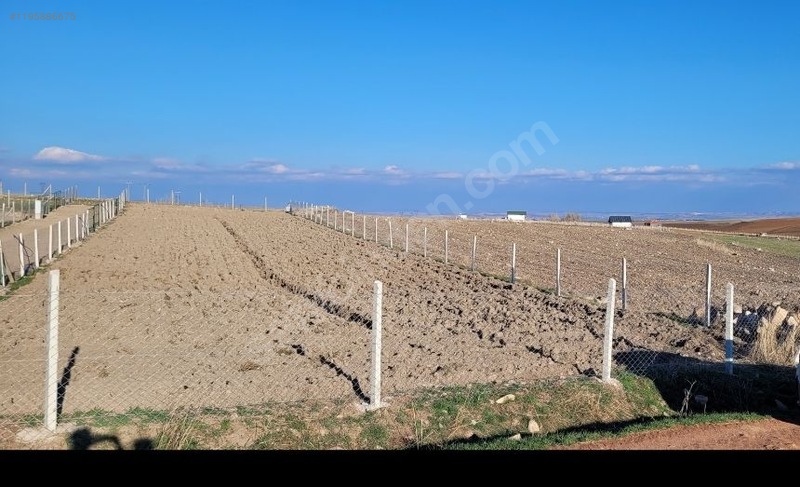 ANKARA GÖLBAŞI ÇAYIRLI 300 m² TARLAMIZ  SATILIKTIR. - ANKARA GÖLBAŞI fotoğraf 2