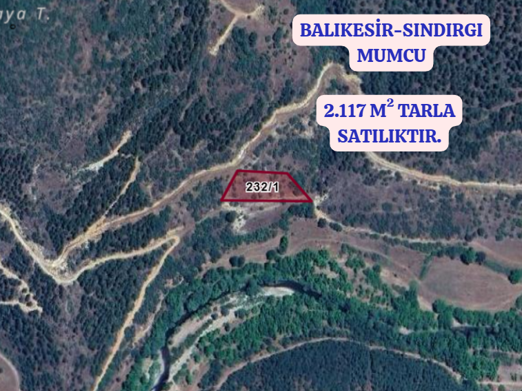BALIKESİR SINDIRGI MUMCU KÖYÜNDE 2.117 M² TARLA  SATILIKTIR - BALIKESİR SINDIRGI fotoğraf 2