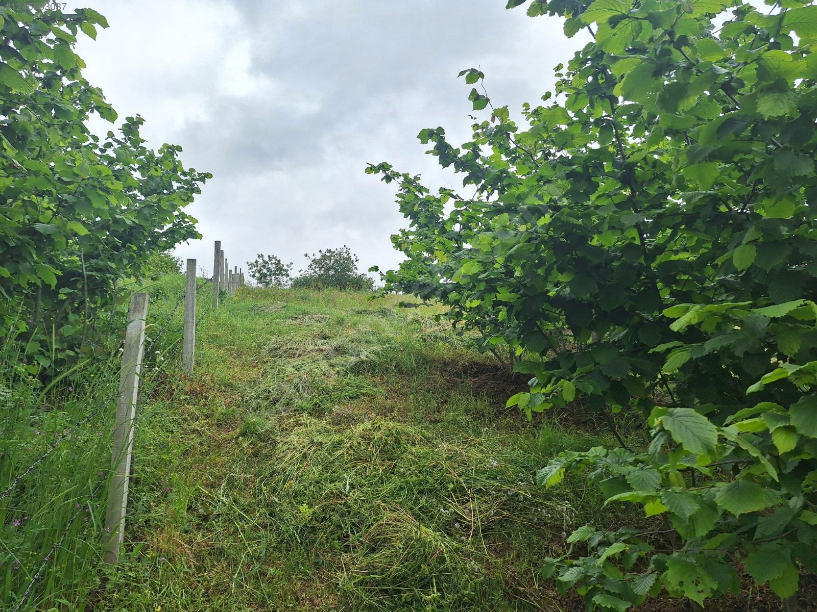 Kocaeli İzmit Balören Mahallesi'nde ARAÇ TAKASLI - KOCAELİ İZMİT fotoğraf 3