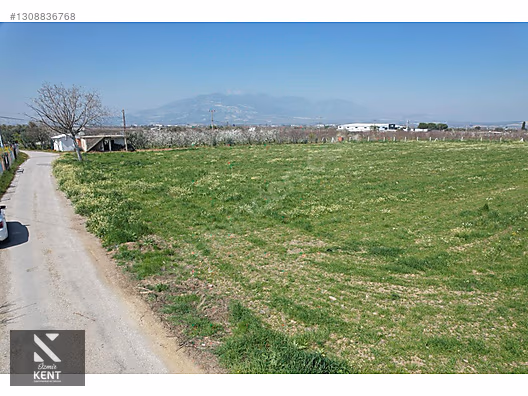 Kemalpaşa Ören 75. Yıl Satılık 8770 m2 Tek Tapu Tarla - İZMİR KEMALPAŞA fotoğraf 4
