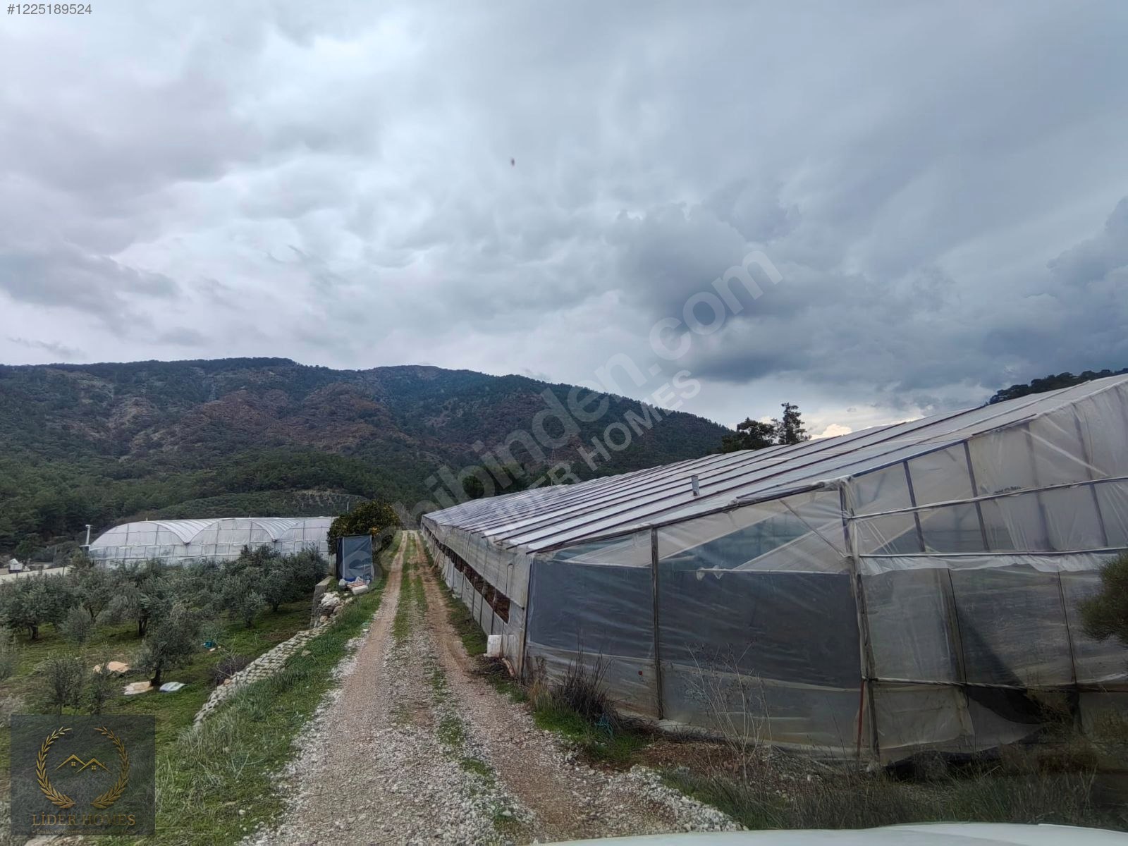 Eldirek Mahallesinde Villa Bölgesinde 1.036M2 Suyu Elektriği var - MUĞLA FETHİYE fotoğraf 6